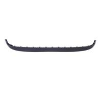BLIC 5511-00-0015970P Diffusore posteriore
