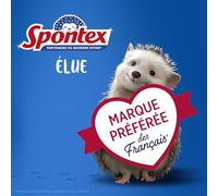 SPONTEX - Spugna per rimuovere gli sforzi - 2 spugne raschianti disincrostanti verdi formato XL - Formula carbonio