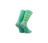 Sporcks legend green yellow