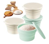 Sporgo Box per pizza con coperchio: set di 4 scatole per impasti per pizza, pieghevole, in silicone antiaderente, pasta per pizza, salvaspazio, lavabile in lavastoviglie