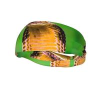 Sport Cobra Snake Print Fascia per il sudore per uomini e donne - Elastico Palestra Esercizio Running Fascia