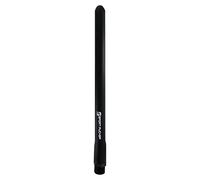 'Sport Fucker, anale, Intimo, Doccia Doccia Locker Room Hose Black (18)
