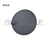 SPORTELLO SERBATOIO CARBURANTE PER FORD FIESTA MK VI 12/08-12/12