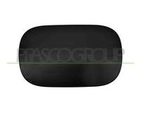 Sportello Serbatoio Mercedes Gle Class Coupe' (C292) 2015-2019 A2927570006