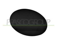 Sportello Serbatoio Mercedes Ml Class (W164) Dal 2006 Al 2007 A1647570006