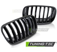 Sportgrill Nero Lucido Wabengitter Per BMW X5 E70 X6 E71 08-