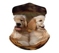 Sportiva Bandana, Passamontagna Golden Retriever Dogs Puppies Pets Versatili Fascia per Capelli per Motocicletta Arrampicata Campeggio