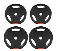 SPORTNOW Kit Pesi con 4 Dischi con 3 Fori Nero