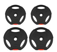 SPORTNOW Kit Pesi con 4 Dischi con 3 Fori Nero