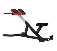 SPORTNOW Panca Romana Multifunzione, Sedia Romana con Altezza Regolabile per Iperestensioni Schiena, Panca Addominali Pesi Fitness per Allenamento Palestra Casa, Capacità 120kg