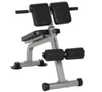 SPORTNOW Sedia Romana Regolabile e Pieghevole con Capacità 150 kg Argento