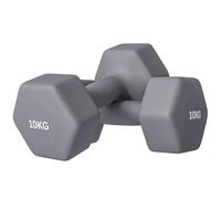 SPORTNOW Set 2 Manubri Esagonali da 2x10 kg in Metallo e Plastica, 2 Manubri Pesi con Impugnatura Antiscivolo, 26x12x12 cm, Grigio