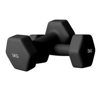 SPORTNOW Set 2 Manubri Esagonali da 5 kg in Metallo e Plastica 20x9x9 cm Nero