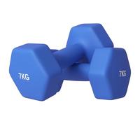 SPORTNOW Set 2 Manubri Esagonali e Antiscivolo da 2x7 kg per Allenamento, Pesi da Palestra in Metallo e Plastica, 22.5x10.5x10.5 cm, Blu