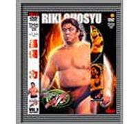 Sports-Wrestling Toukon - Riki Choushu