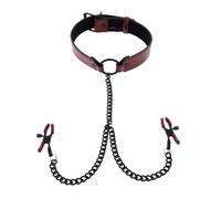 Sportsheets Catena con Clip per capezzoli