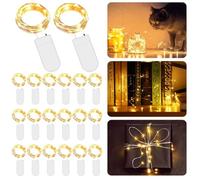 SPORWAY Catena luminosa a LED, 20 pezzi, 3 m, 30 LED, luce bianca calda, con batteria a bottone, mini catena di luci per giardino, Natale, feste, interni, esterni, decorazione fai da te