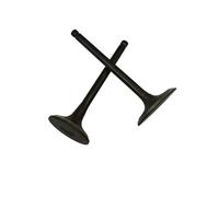SPOTIUA 1 Coppia valvola di aspirazione e Set di valvole for generatore Motore EX40 I4 E4