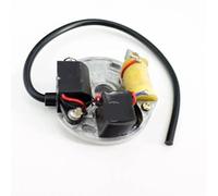 SPOTIUA 1E40F 1E45F Piastra Armatura ACCENSIONE Sega A Catena STATORE di Carica MODULO CDI Elettrico Bobina di Carica Magneto SOFFIATORE SPRUZZATORE Parti