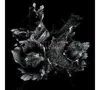 Spotlights - Love & Decay