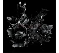 Spotlights - Love & Decay