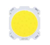 SPOUPKFKCK 10 pz 3 W 5 7 Sorgente LED Chip ad alta potenza COB Lampadina 2 Lampada Faretto Down Light Lampade Bianco caldo(Cold White,10W 30-32V 2422)
