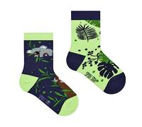 Spox Sox Bambini - calze colorati e divertenti, calzini fantasia e folli - regalo divertente, 31-35, Koala