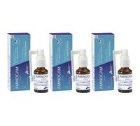 Spray Aminogam 15 Ml 3x15 ml Spray