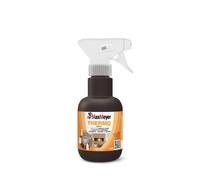 Spray antimuffa Thermo active 0,250 l Incolore
