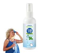 Spray Per La Di Raffreddamento | Mistriatura Istantanea Raccolta Spray | Negozio Da Viaggio Rinfrescante Rinfrescare Le Nebbie | REGLI INSITANTI SPROGGI STRUMENTO DI REGLI ALLA LEGGE LEGGE PORT