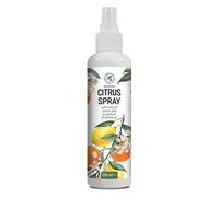 Spray Profumato per Ambiente Agrumi 250ml - Oli Essenziali di Limone e Pompelmo