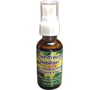Spray Stabilizzatore Post-Trauma 1 Oz Di Flower Essence Services
