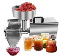 Spremiagrumi elettrico da 450 W, spremiagrumi in acciaio inox per marmellate e salse, ketchup, marmellata di fragole, marmellata di mirtilli, 220 V