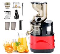 Spremiagrumi Frutta E Verdura Intera, Spremiagrumi A Freddo con Asta di Spinta, Spazzola, Masticazione Delicata Senza Bisogno di Filtrare, Succo Ad Alta Purezza al 98%, Macchina per