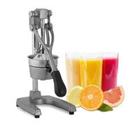 Spremiagrumi manuale con leva Pressa per agrumi Spremi limoni e arance 6,2 kg