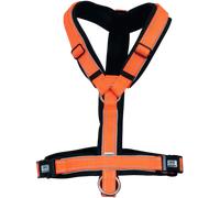 Sprenger Foal Harness - Orange
