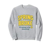 Spring Broke - Divertente Spring Break Economy Felpa