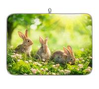 Spring Bunny - Tappetino scolapiatti in microfibra con grazioso coniglietto, assorbente, per cucina, cucchiaio, piatto di vetro, 40,6 x 45,7 cm