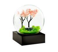 Spring Cool Snow Globe by CoolSnowGlobes