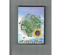 Spring Garden: A Video Guide to Pregnancy