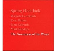The Sweetness Of Thewater - Spring Heel Jack (Audio cd)