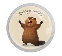 Spring is Coming - Pomelli rotondi per cassetti e cassettiere, a forma di scoiattolo, per mobili, credenze, cucina, set di 4