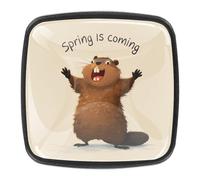 Spring is Coming Squirrel - Confezione da 4 pomelli neri per armadietti, maniglie per mobili da cucina, camera da letto, comò, cassetti, pomelli per armadi, armadi