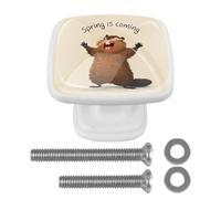 Spring is Coming Squirrel - Confezione da 4 pomelli quadrati per armadietti, maniglie per mobili da cucina, camera da letto, comò, cassetti, pomelli per armadi, armadi