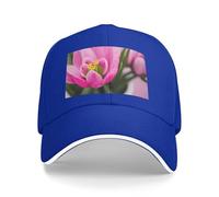 Spring is in the Air Print Neutro Sandwich Hat Style Fit All Year Cappellini da baseball regolabili Snug Secure, Blu, Taglia unica