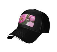 Spring is in the Air Print Neutro Sandwich Hat Style Fit All Year Cappellini da baseball regolabili Snug Secure, Nero , Taglia unica