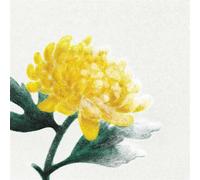Spring Snow / Various - Various Artists (Vinile)