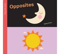 Spring Street Touch and Trace: Opposites (Libro di cartone) Spring Street