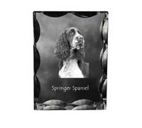 Springer Spaniel inglese cornice di cristallo con cane Art-Dog