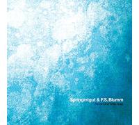 Springintgut & F.S.Blumm - The Bird And White Noise